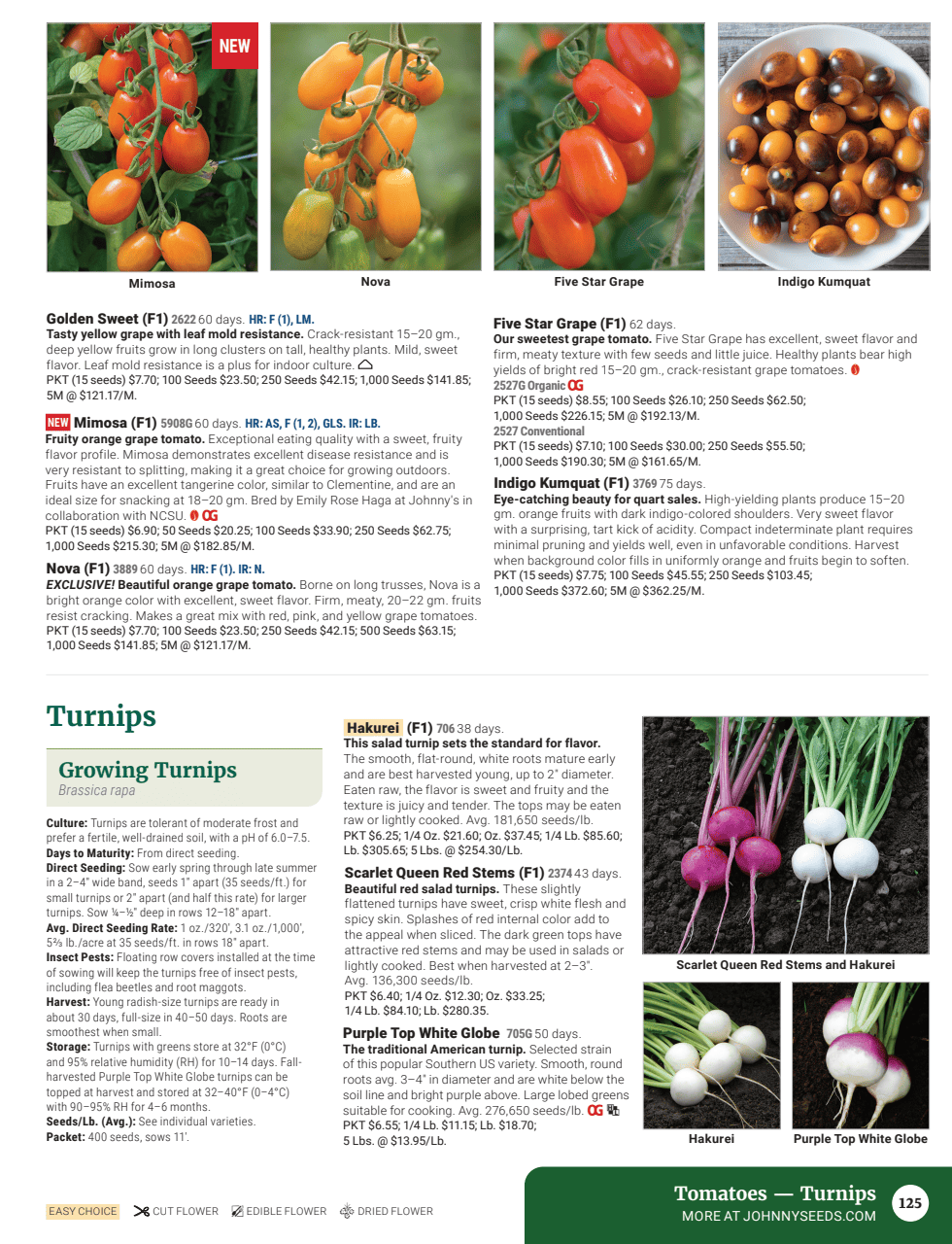 Flyer page 127
