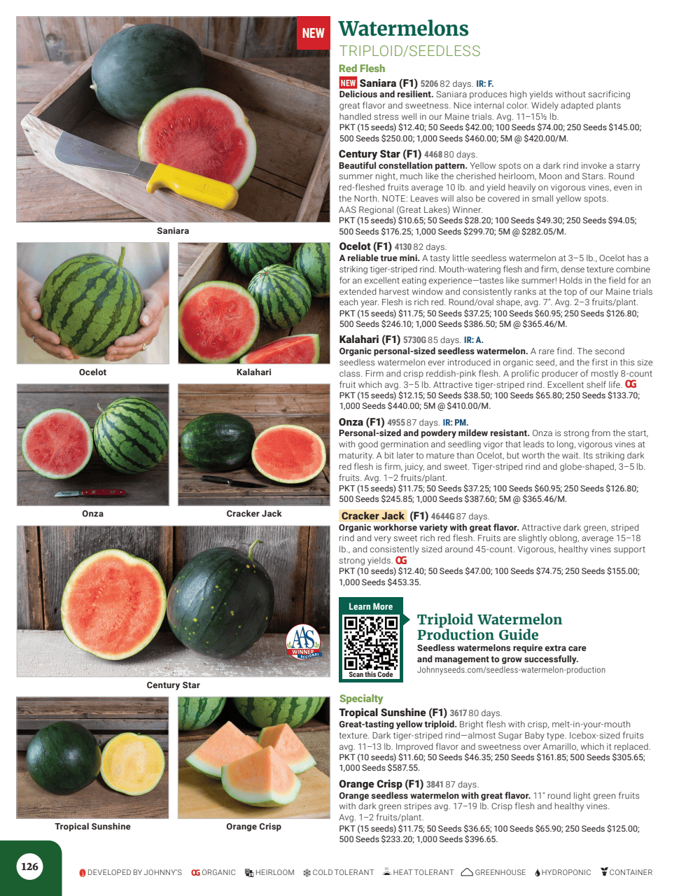 Flyer page 128