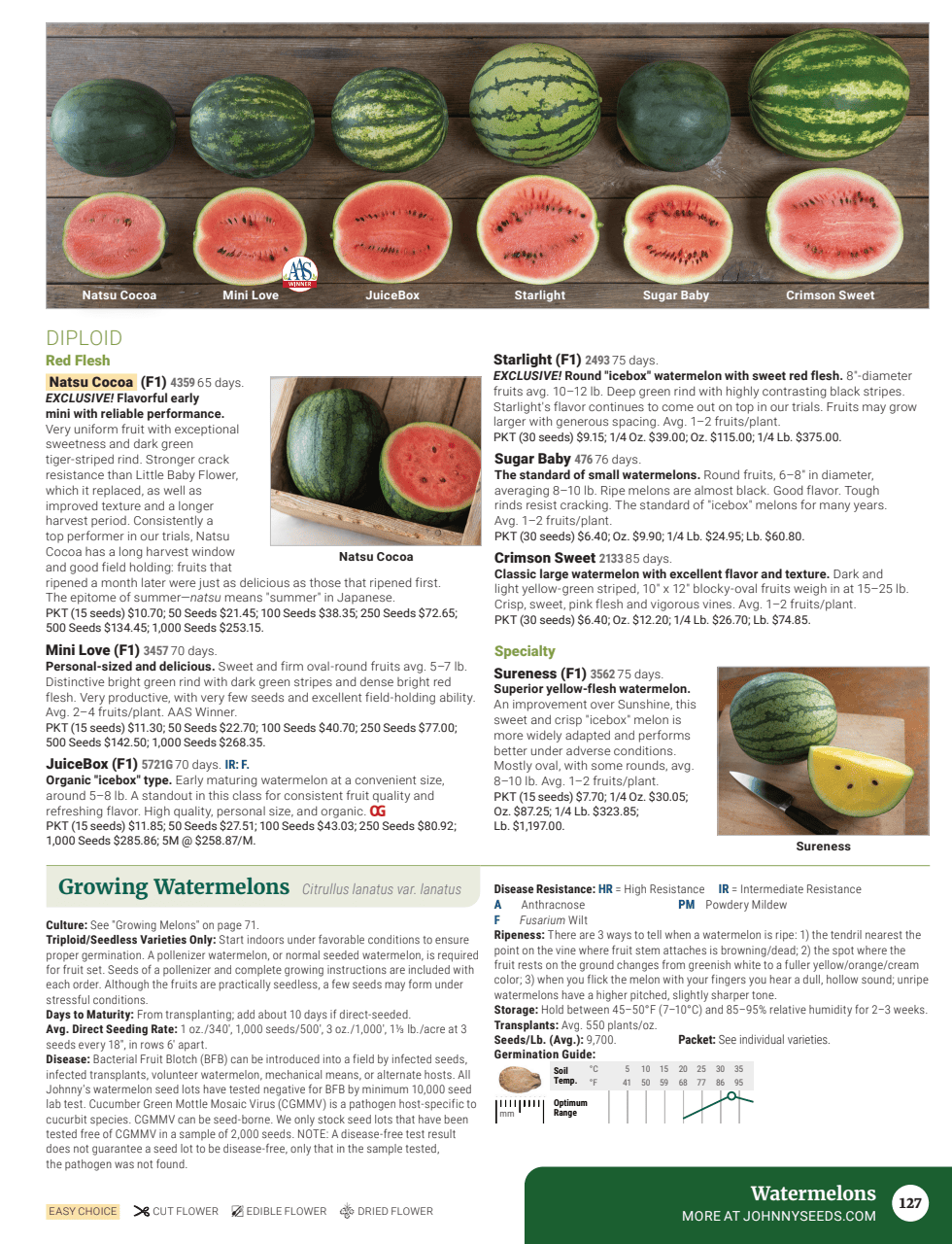 Flyer page 129