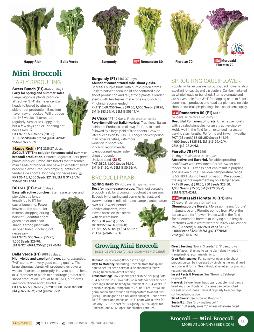 Flyer page 13