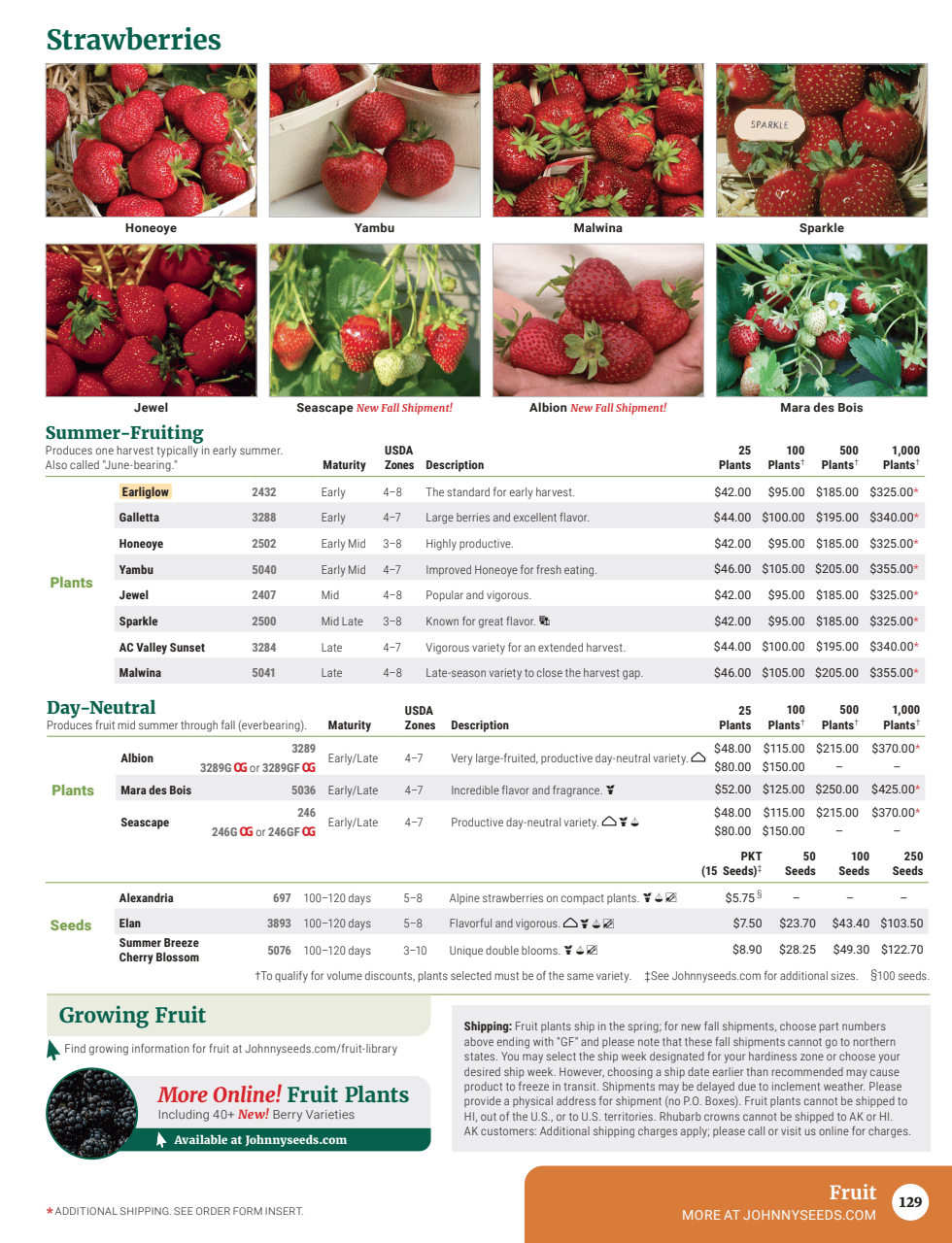 Flyer page 131
