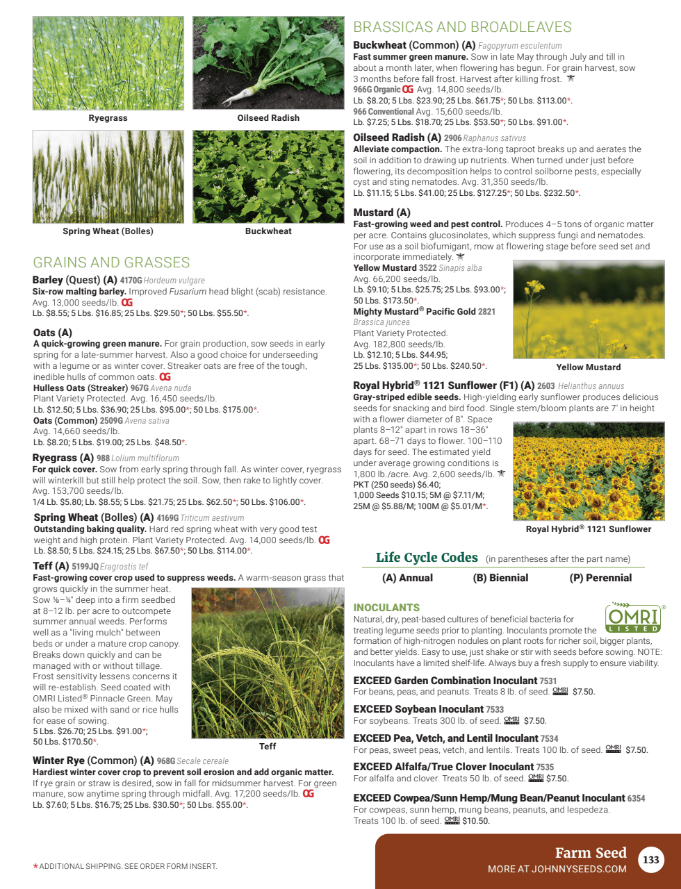 Flyer page 135