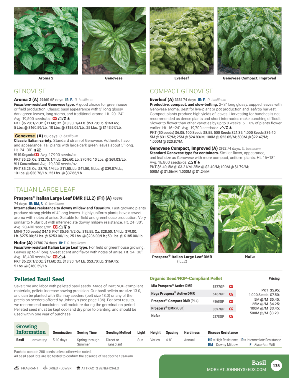 Flyer page 137