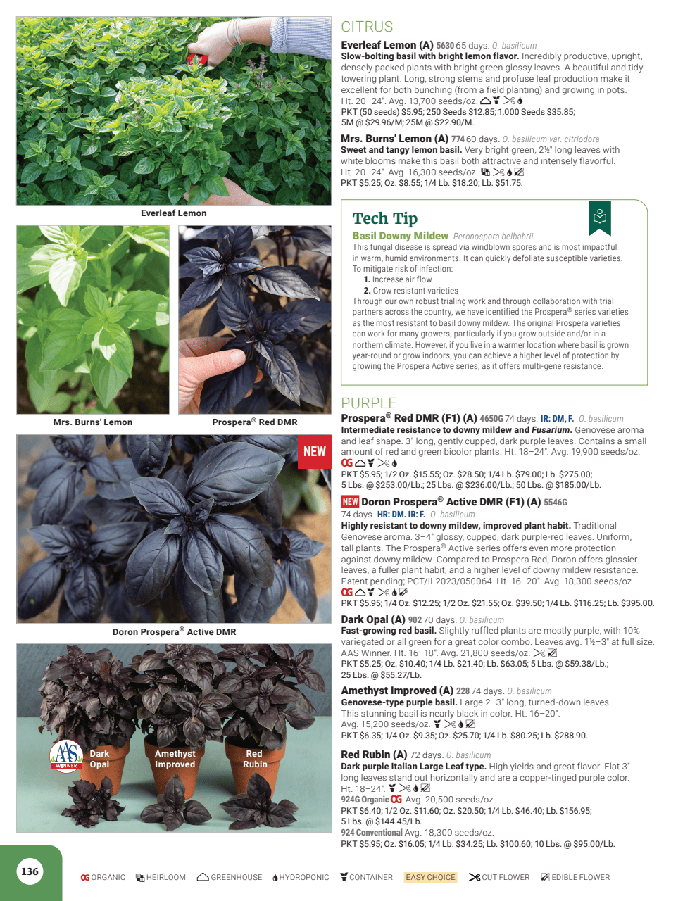 Flyer page 138