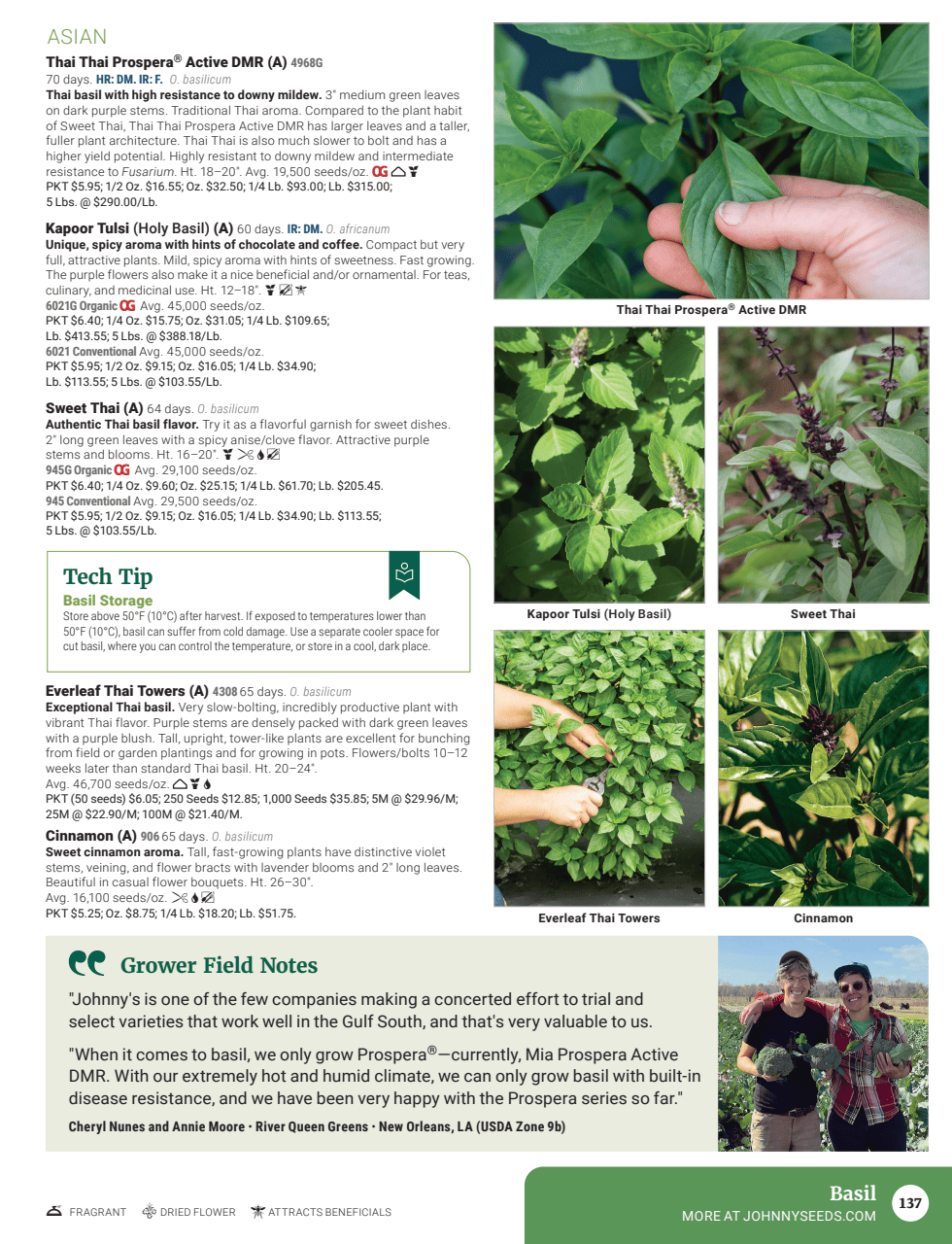 Flyer page 139