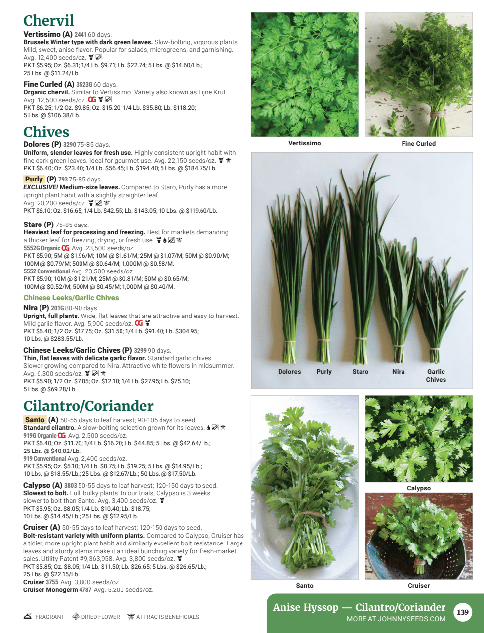 Flyer page 141