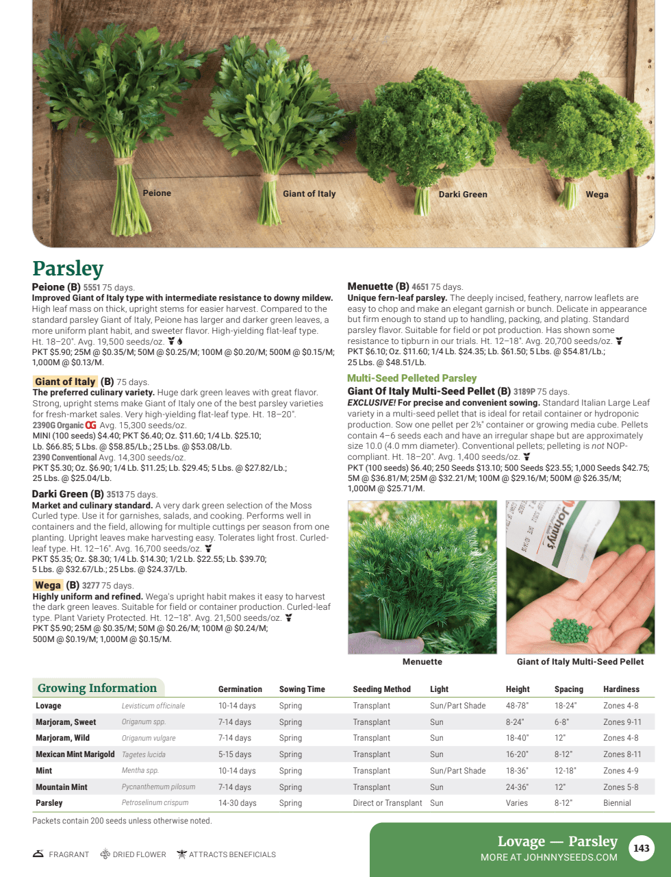 Flyer page 145
