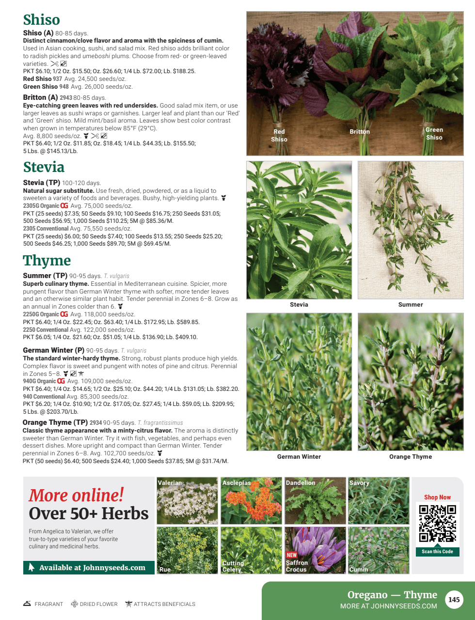 Flyer page 147