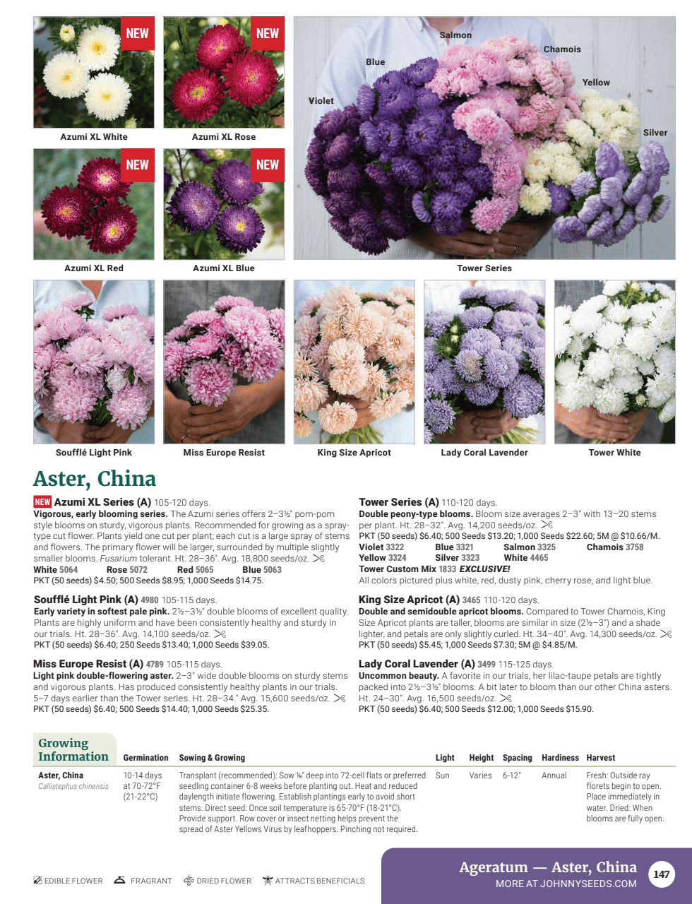 Flyer page 149