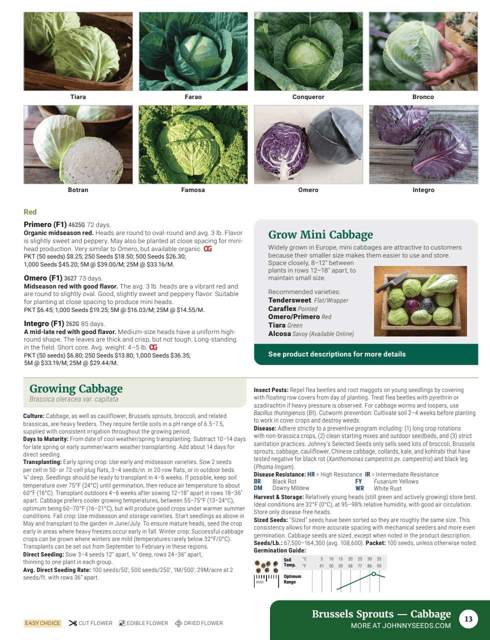 Flyer page 15