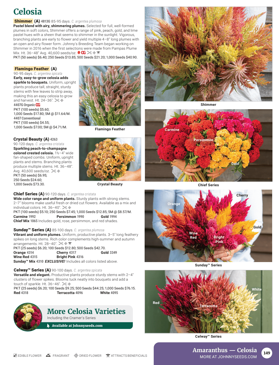 Flyer page 151