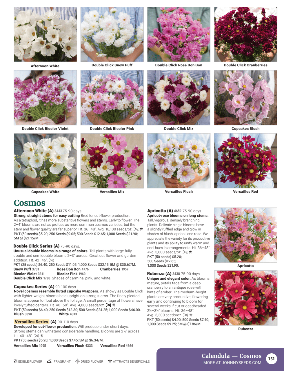 Flyer page 153