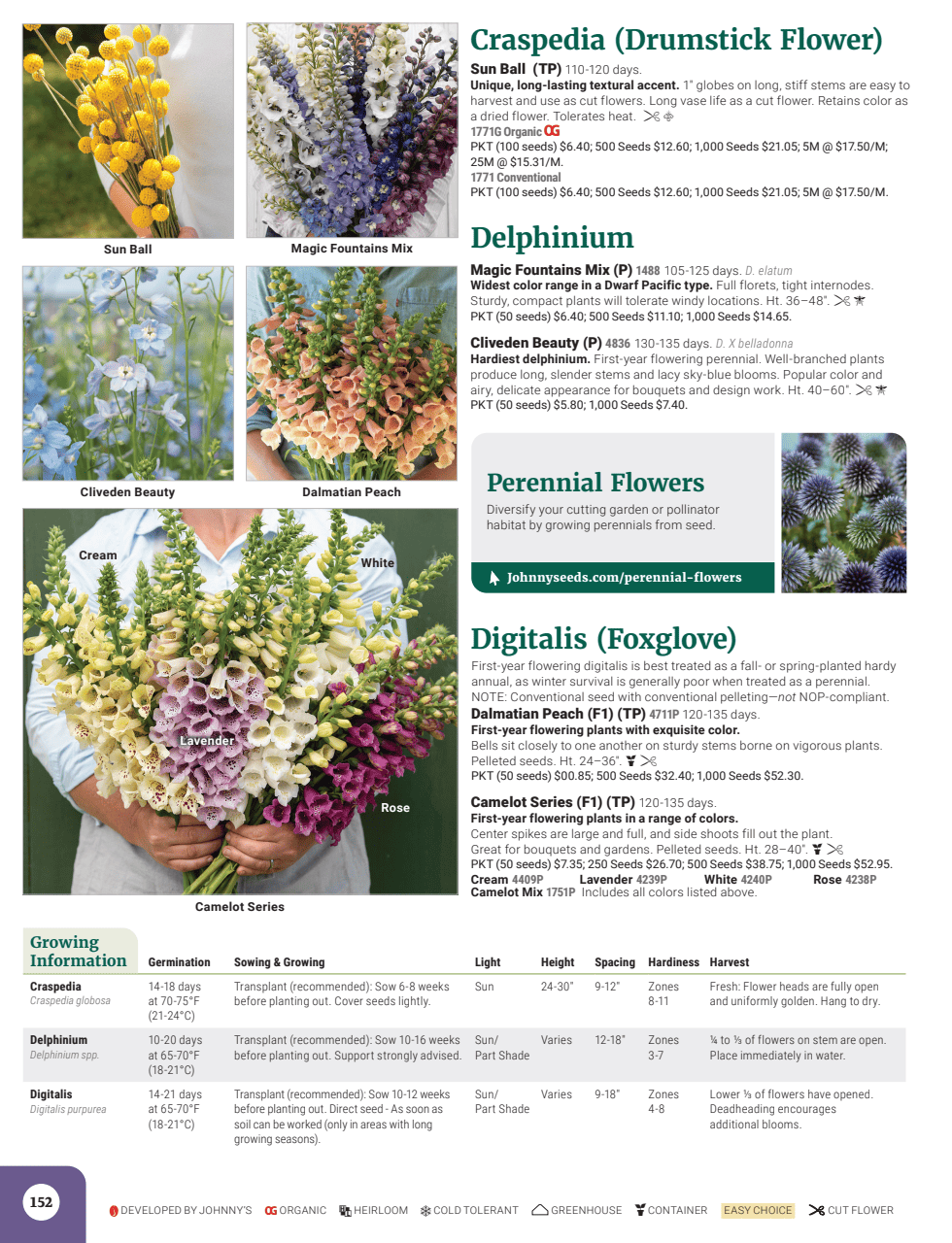 Flyer page 154