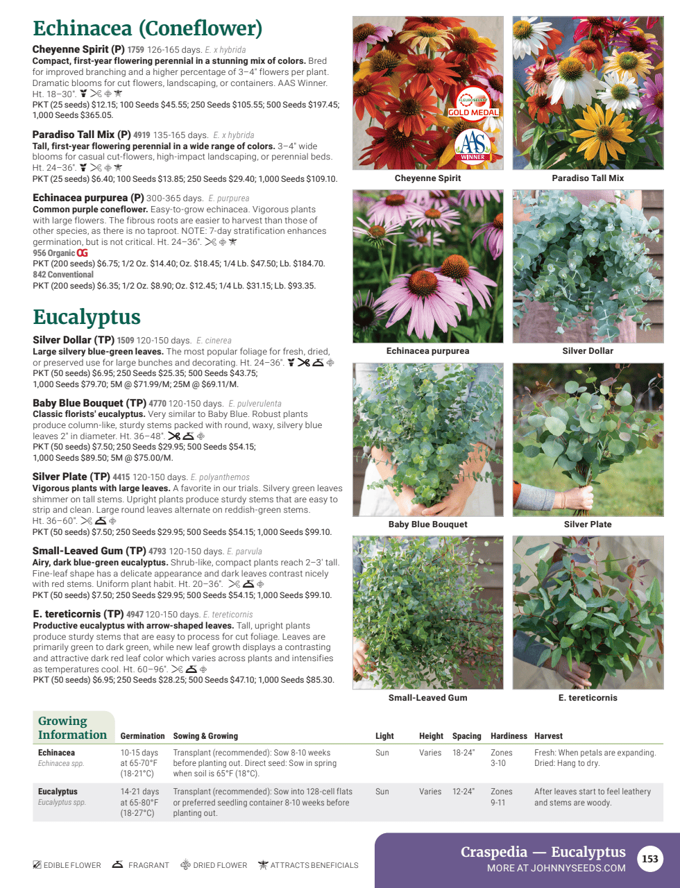 Flyer page 155