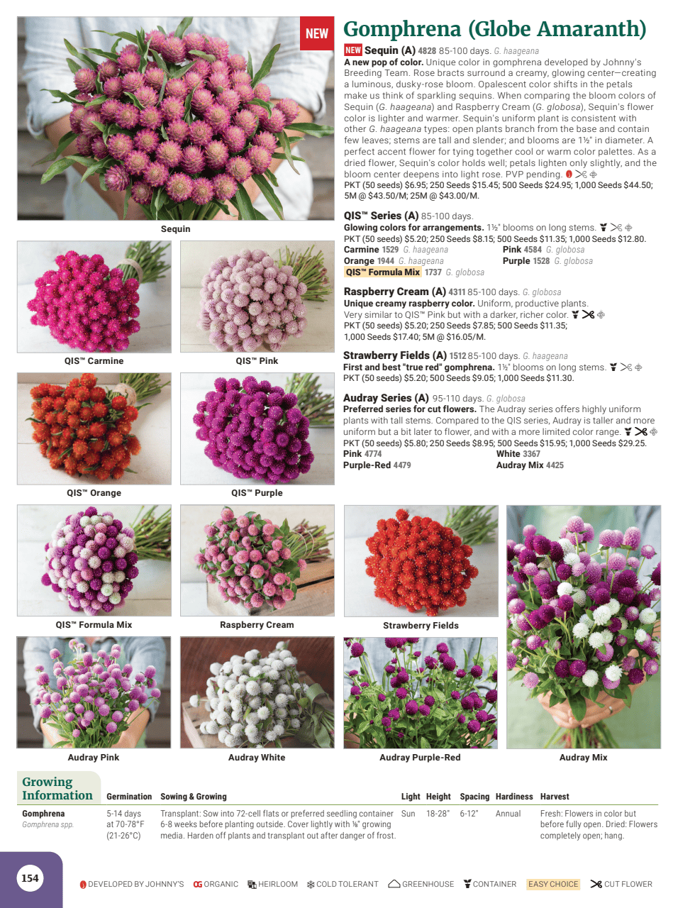 Flyer page 156