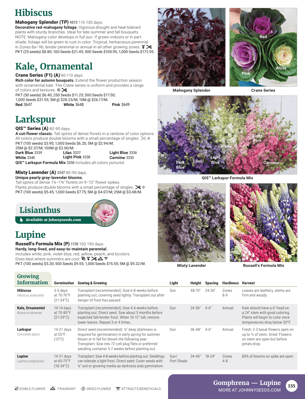 Flyer page 157