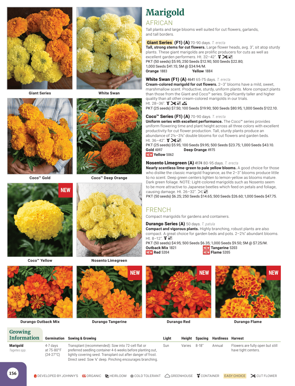 Flyer page 158