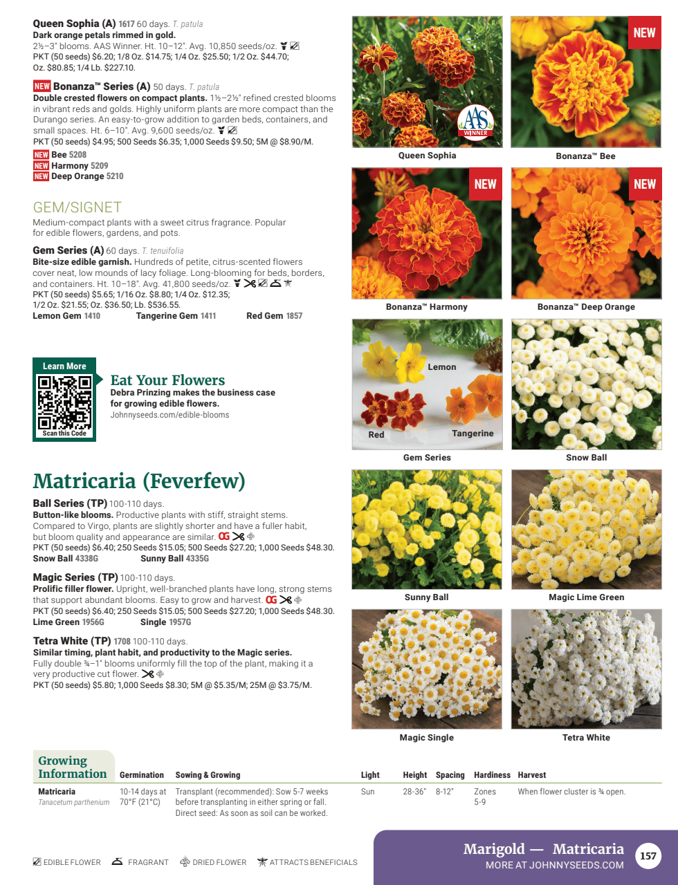 Flyer page 159