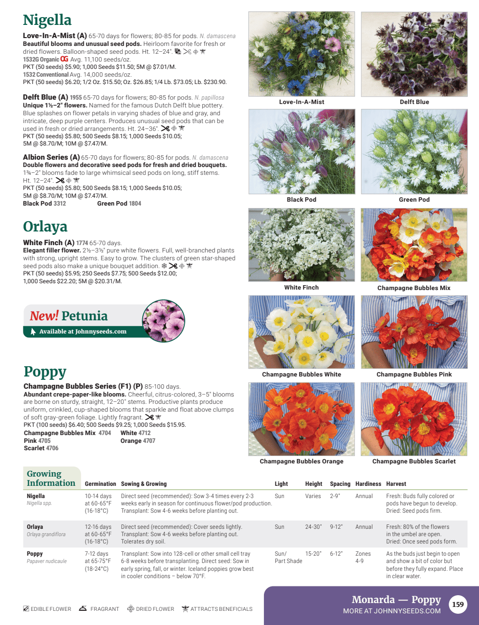 Flyer page 161
