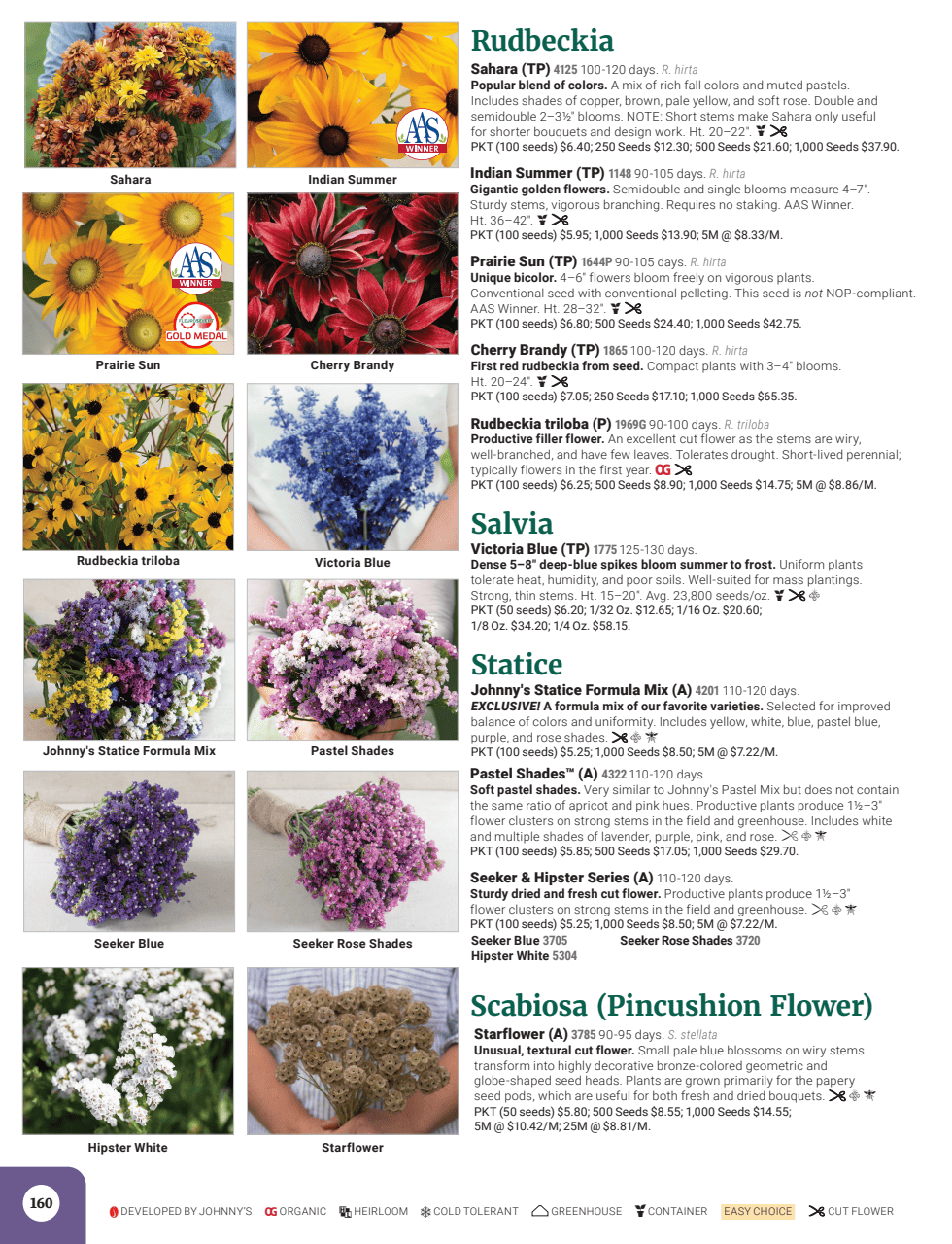 Flyer page 162
