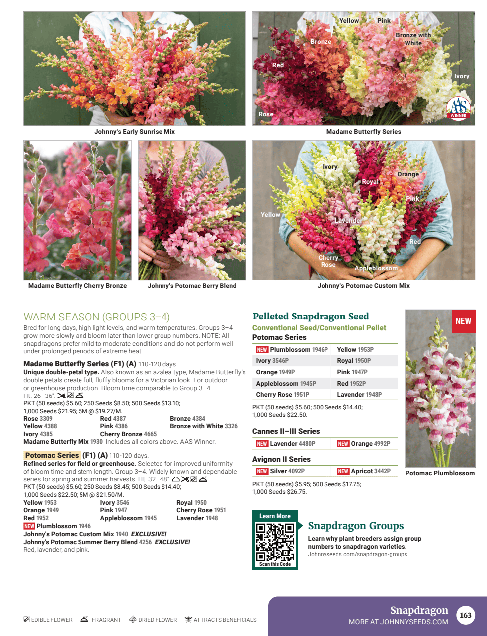 Flyer page 165