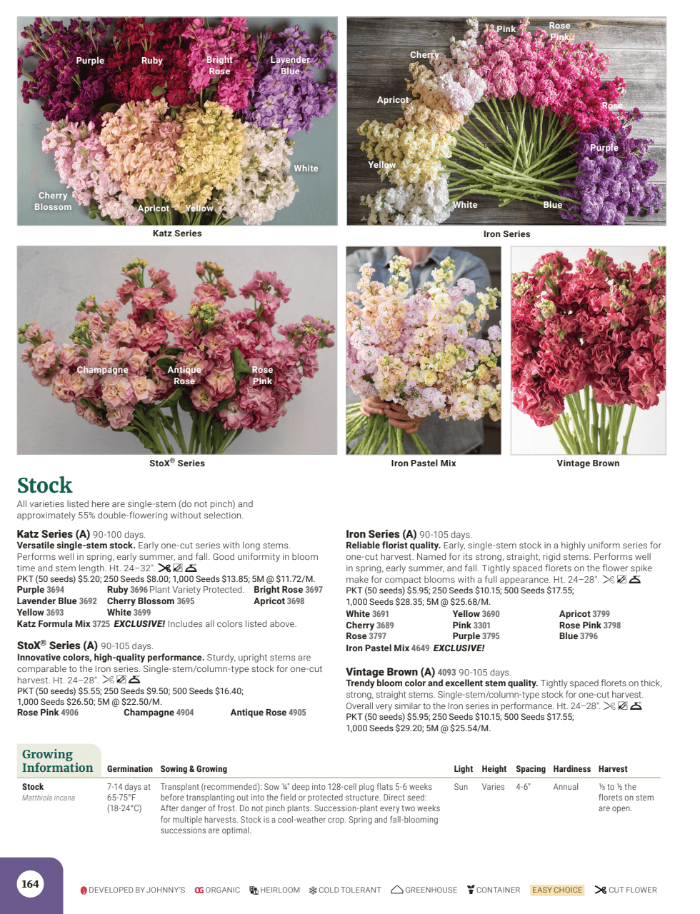 Flyer page 166
