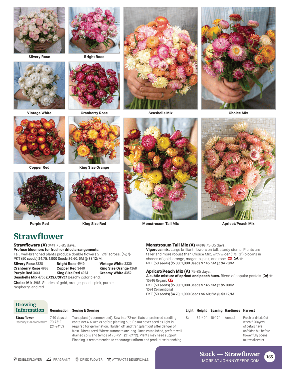 Flyer page 167