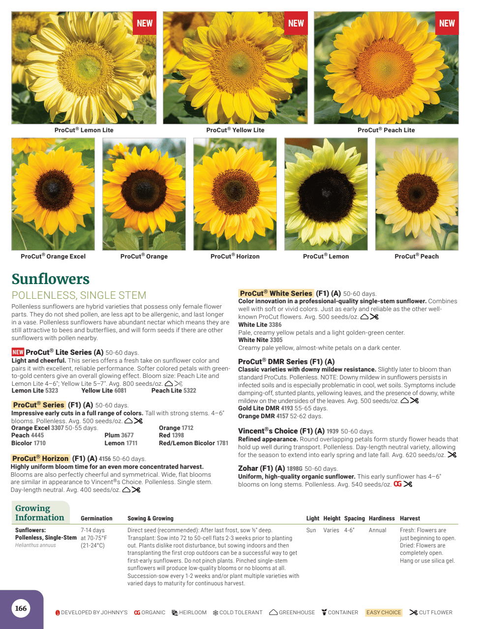 Flyer page 168