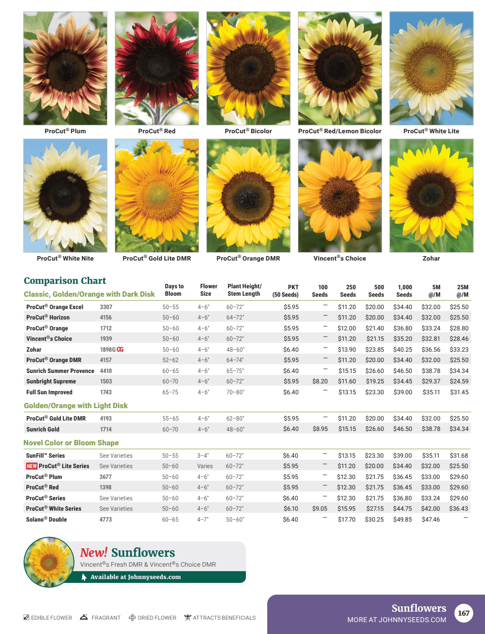 Flyer page 169