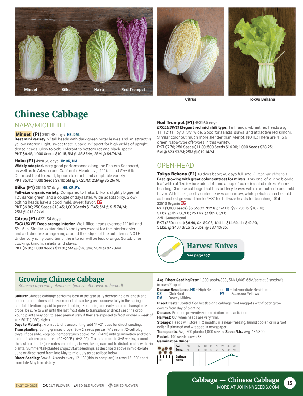 Flyer page 17