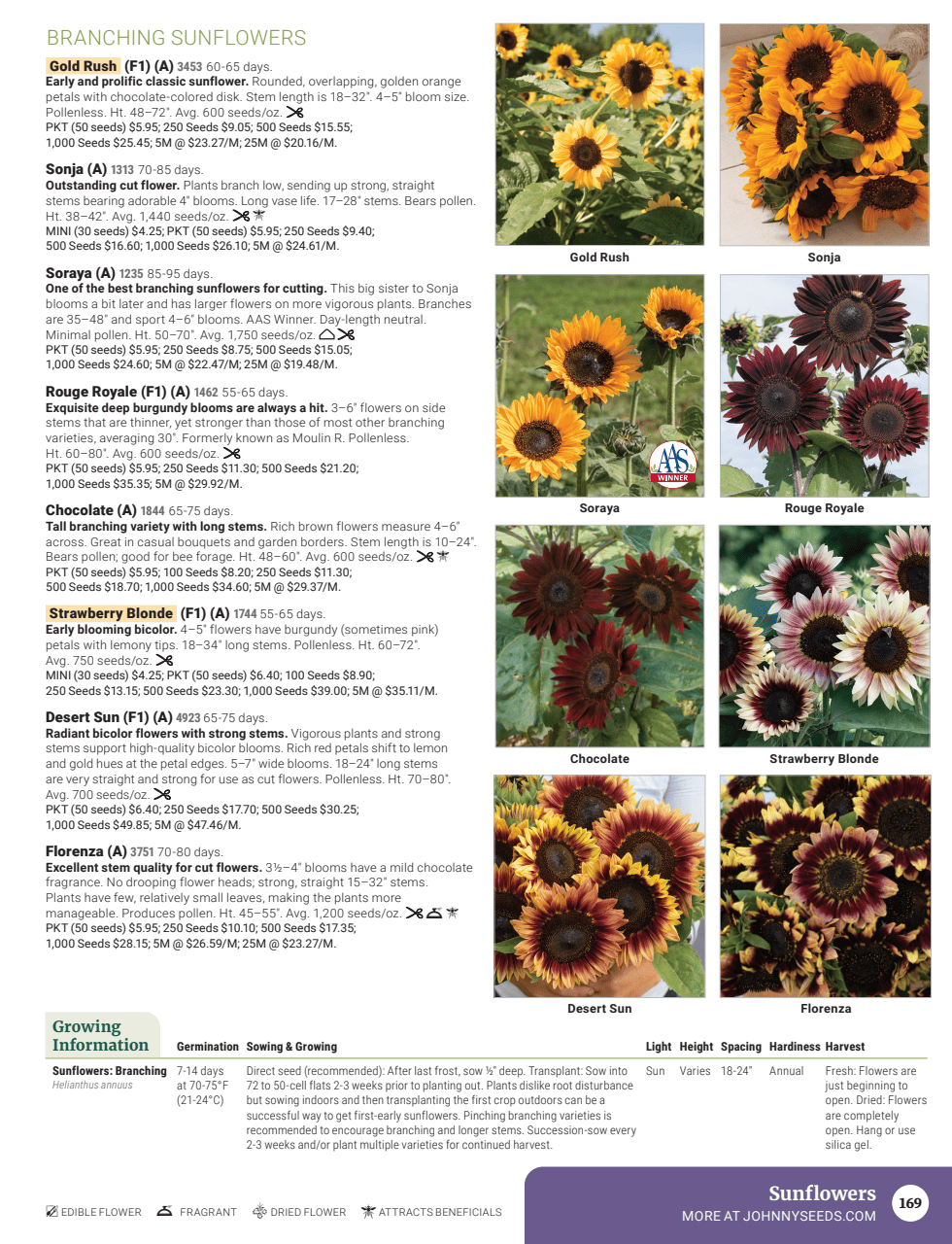 Flyer page 171
