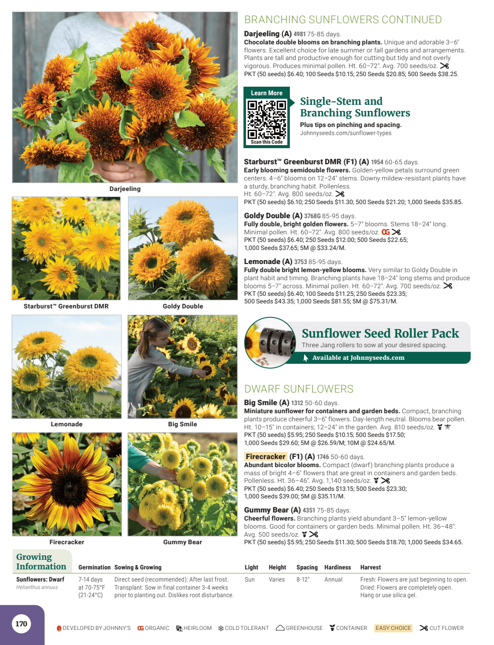 Flyer page 172