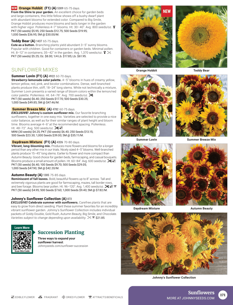Flyer page 173