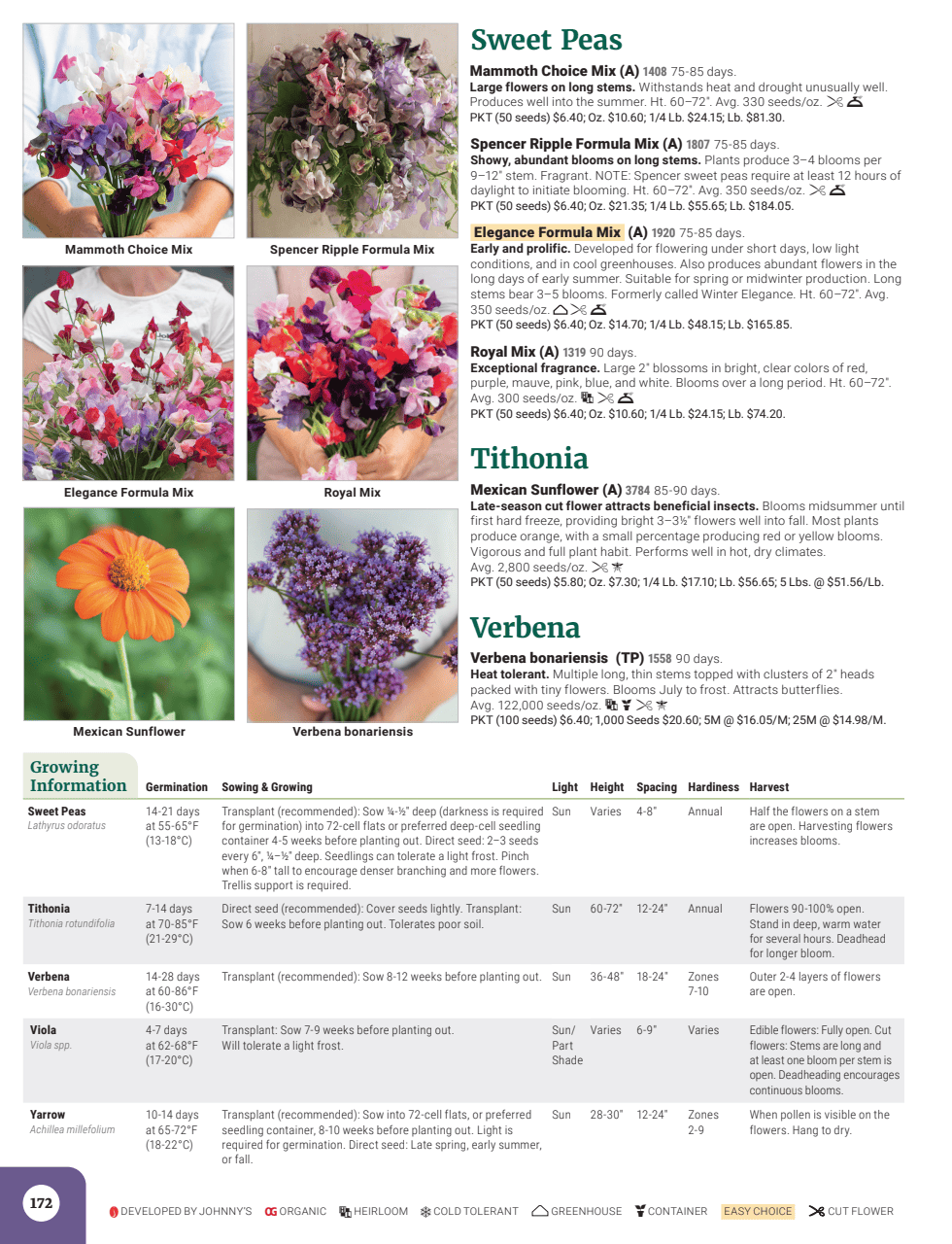 Flyer page 174
