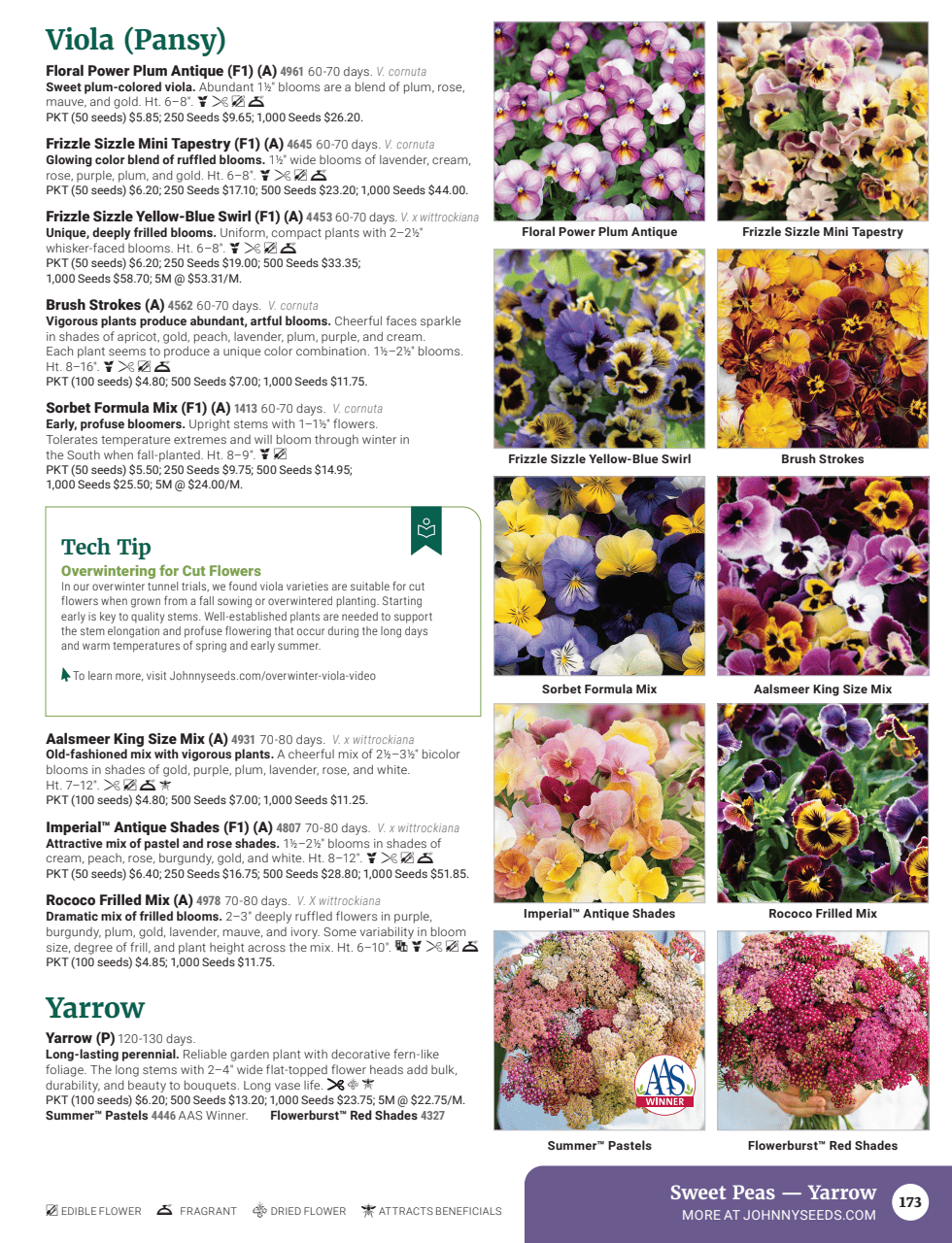 Flyer page 175