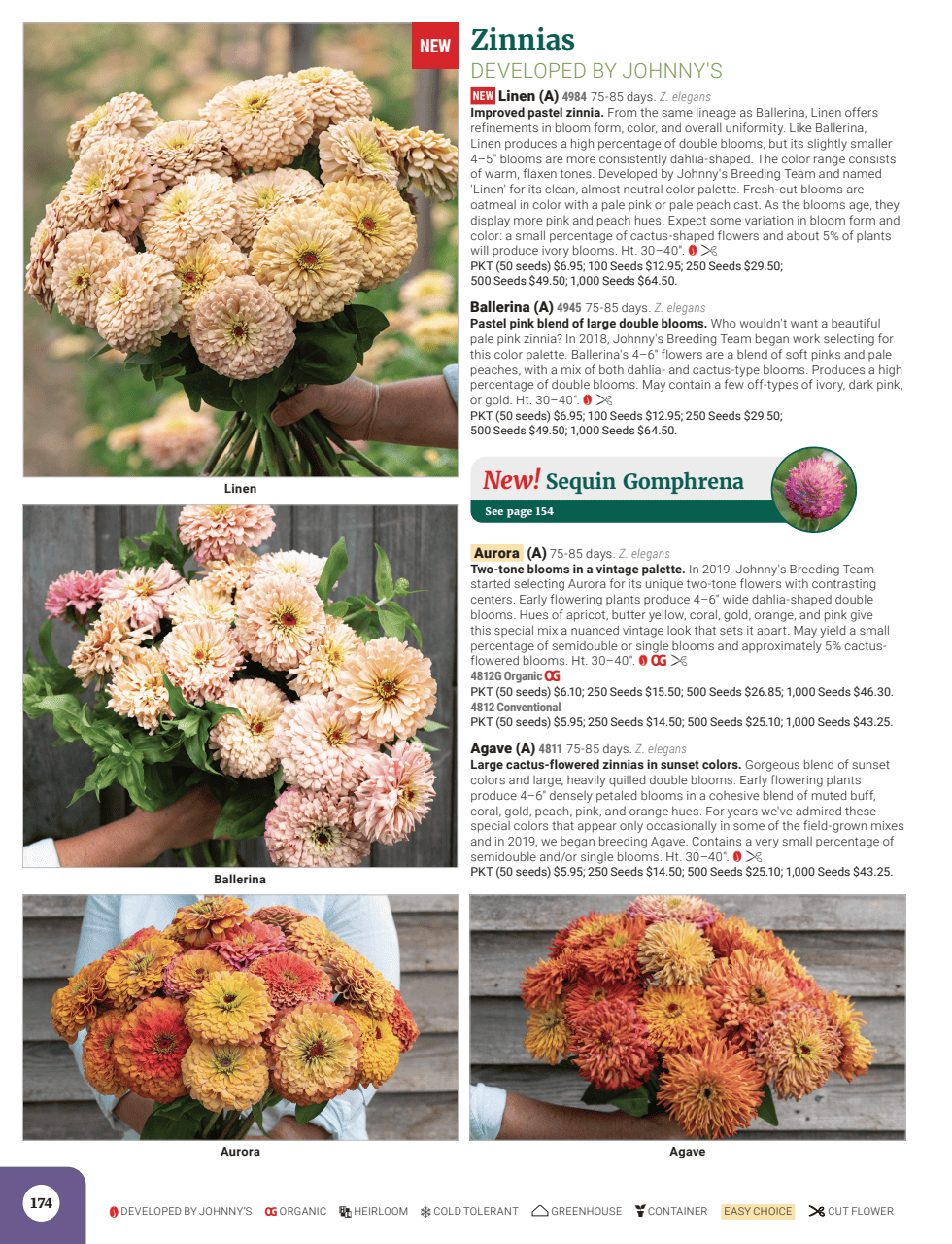 Flyer page 176