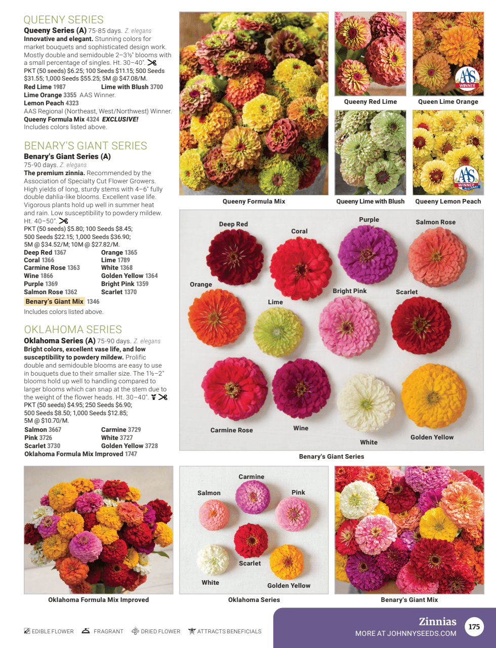 Flyer page 177