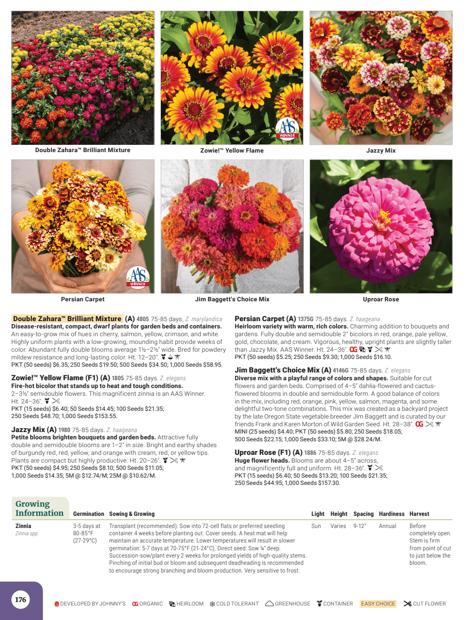 Flyer page 178