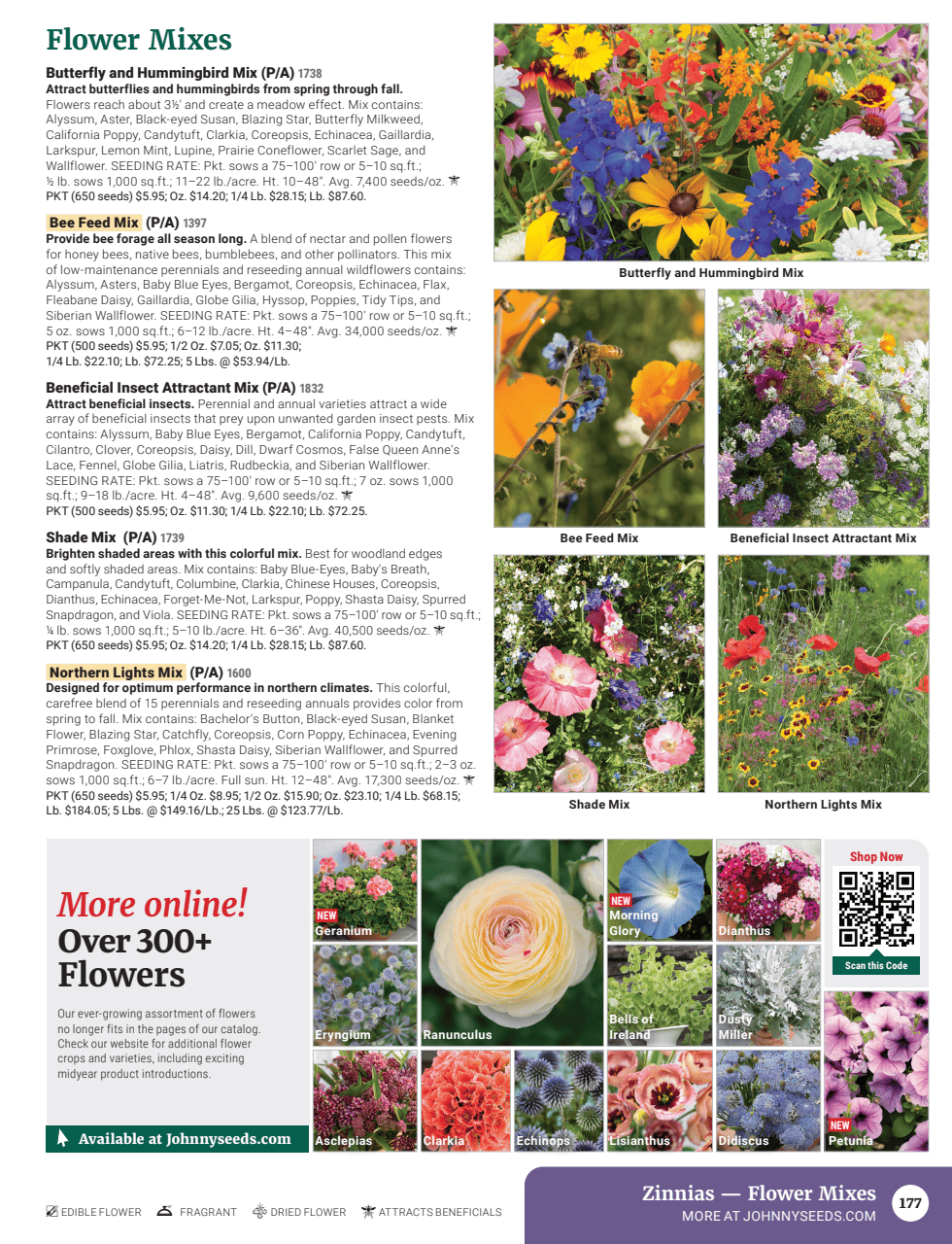 Flyer page 179