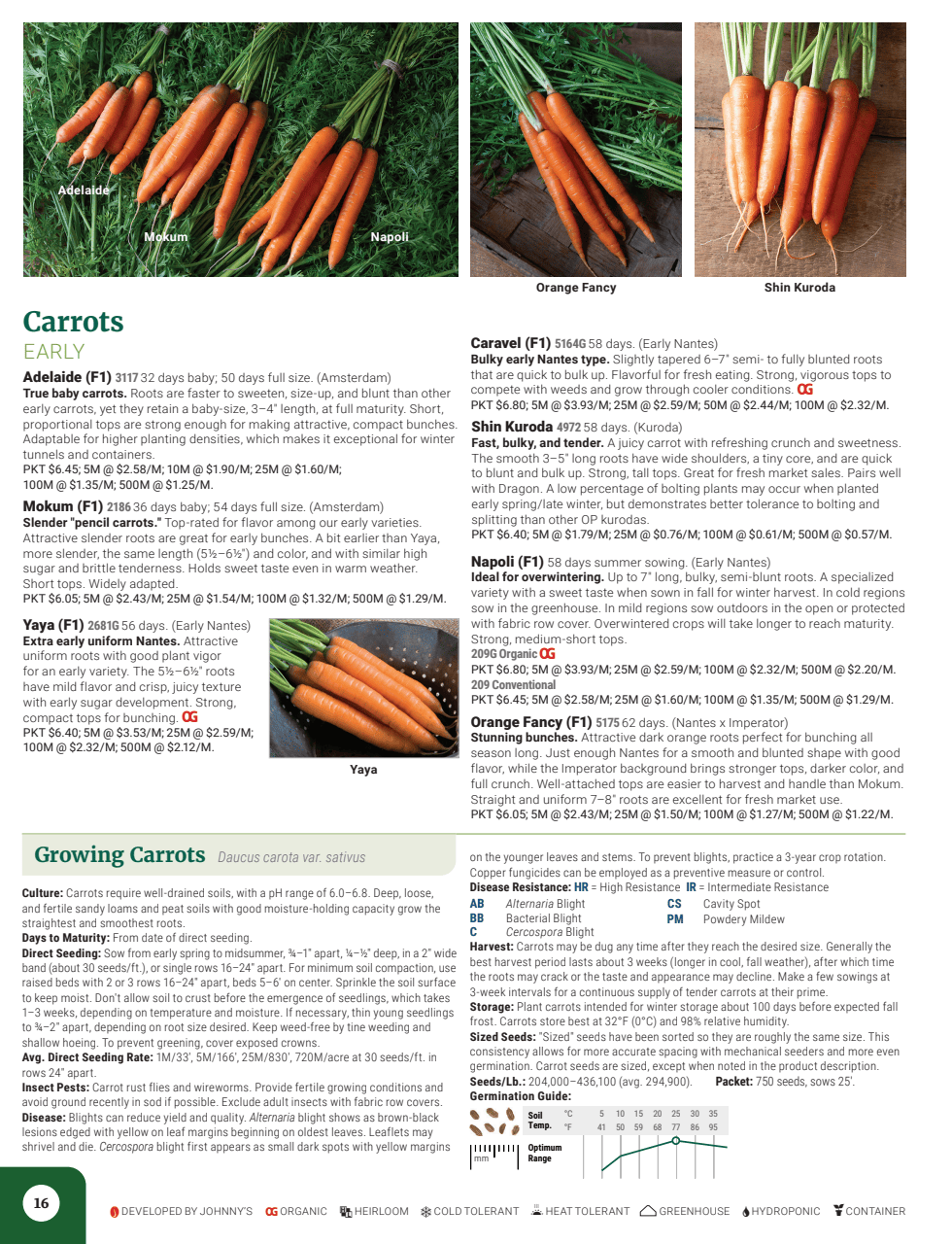 Flyer page 18