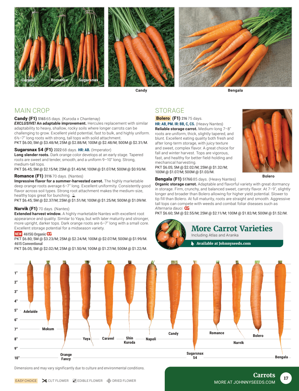Flyer page 19