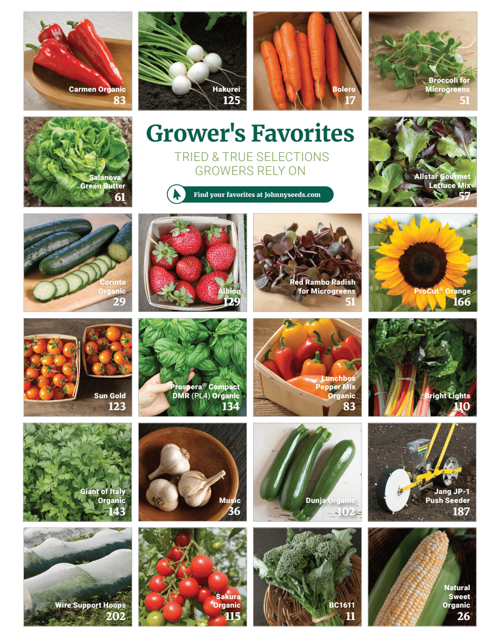 Flyer page 207