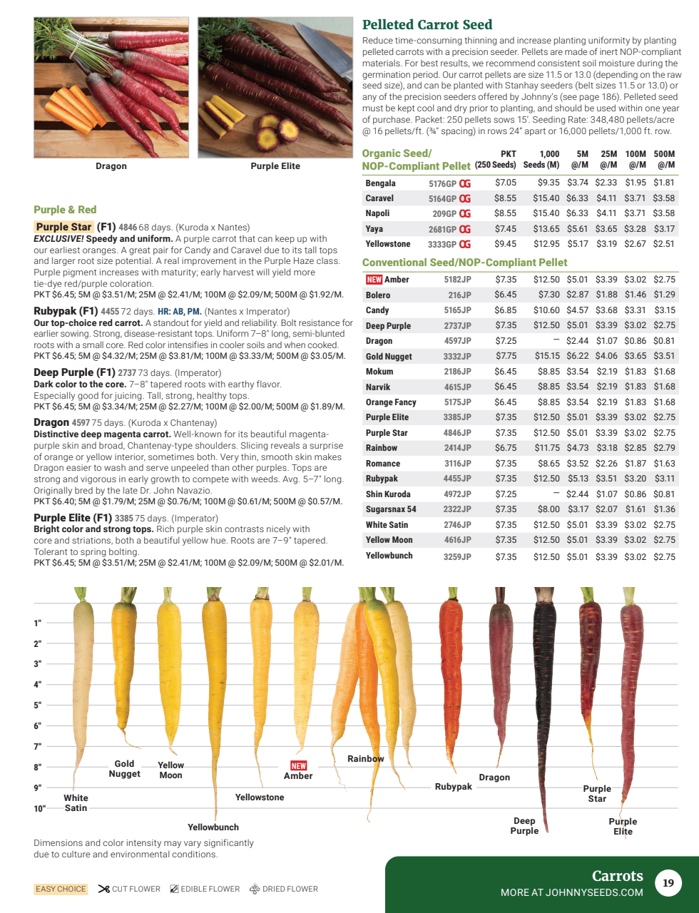 Flyer page 21