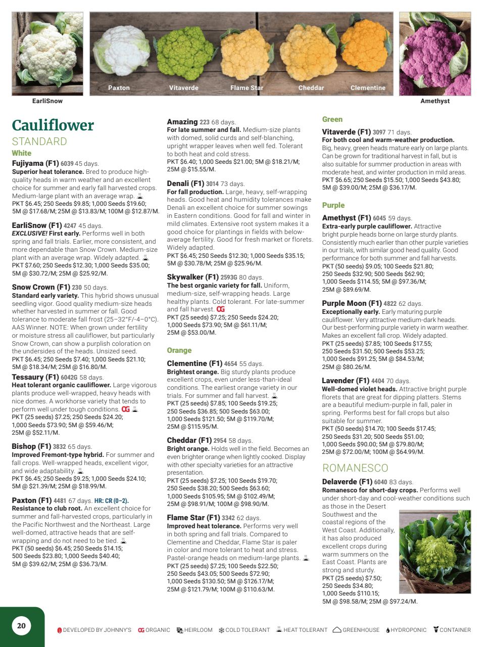 Flyer page 22
