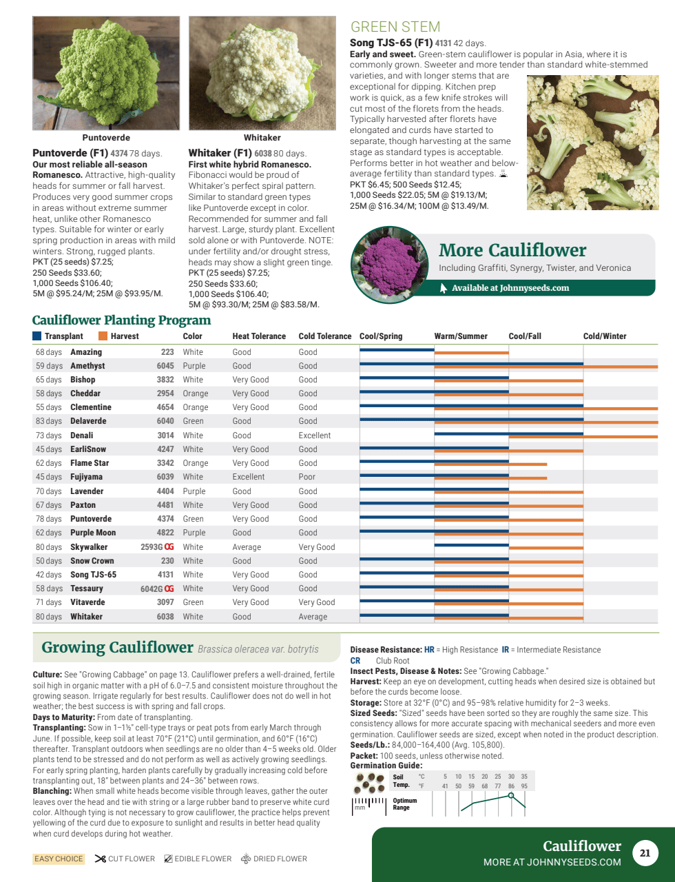 Flyer page 23