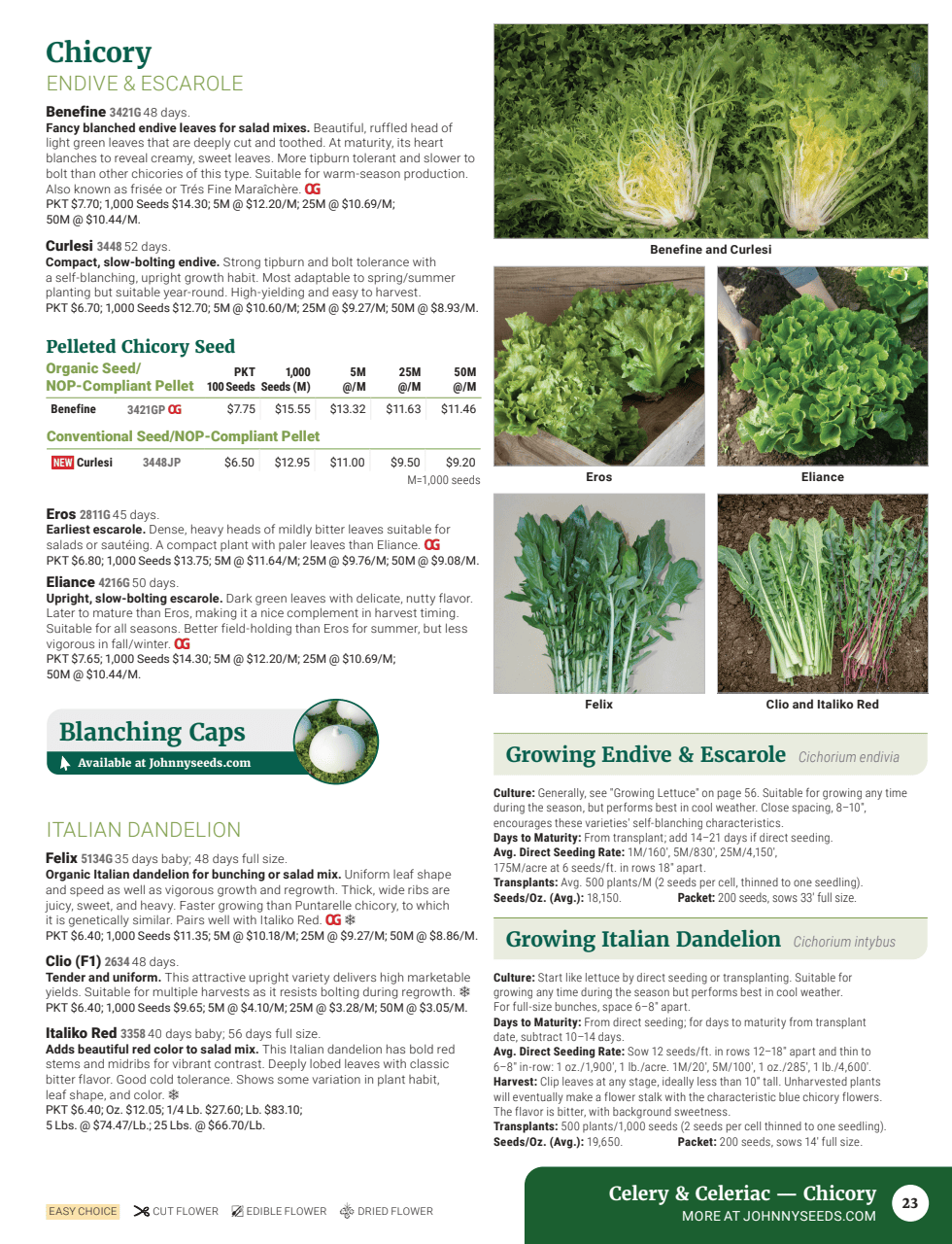 Flyer page 25