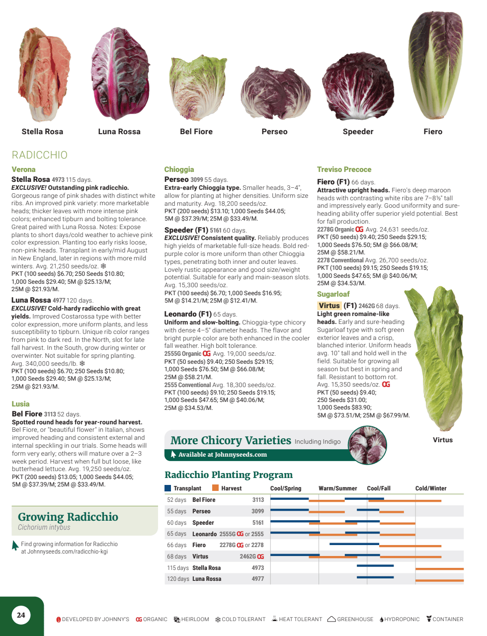Flyer page 26