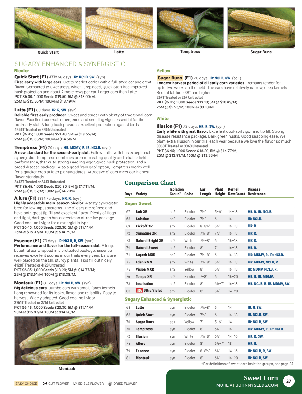 Flyer page 29