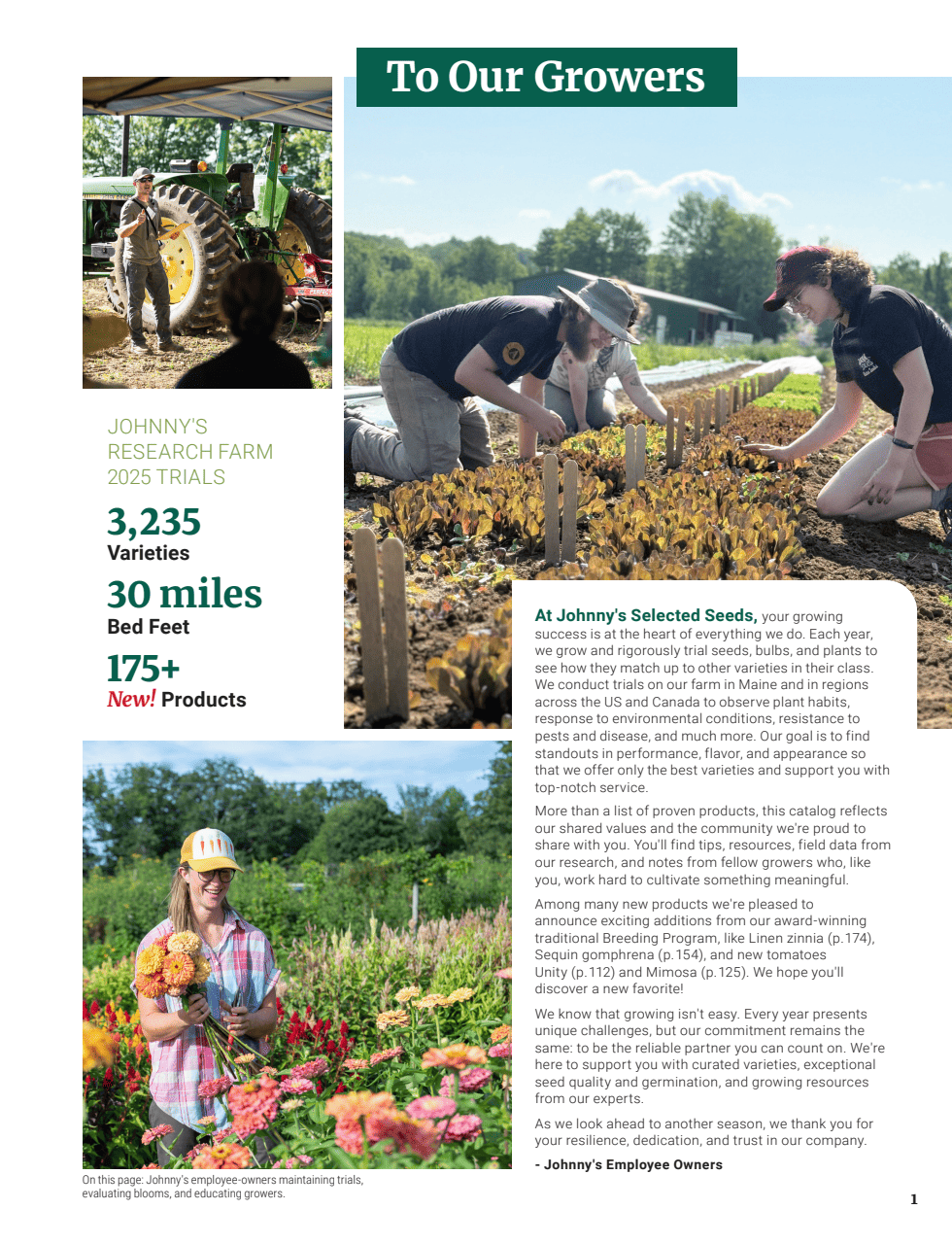 Flyer page 3