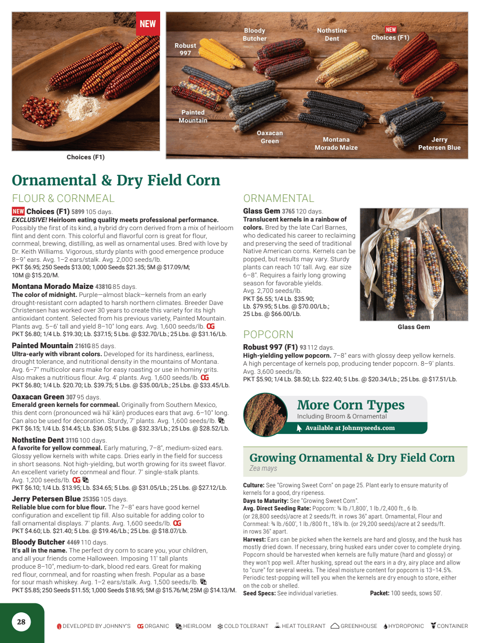 Flyer page 30